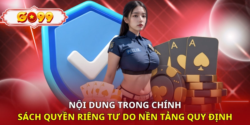 Nội dung trong chính sách quyền riêng tư do nền tảng quy định